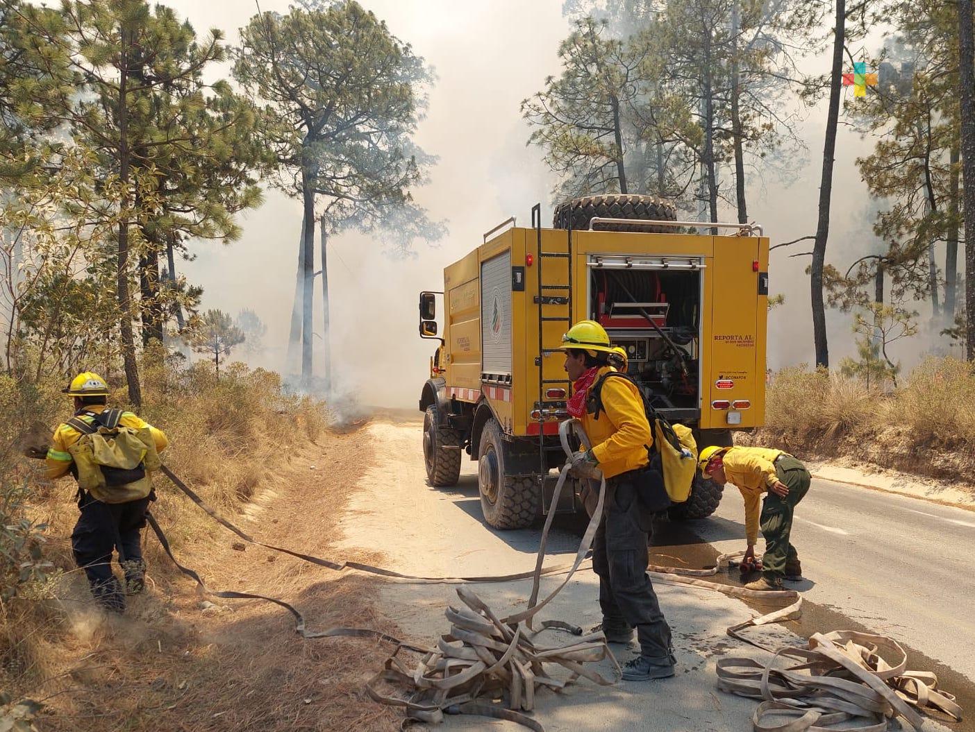 Protección Civil atiende a 20 incendios forestales en el estado