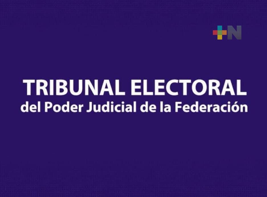 TEPJF le ordenó al INE emitir lineamientos para regular procesos del